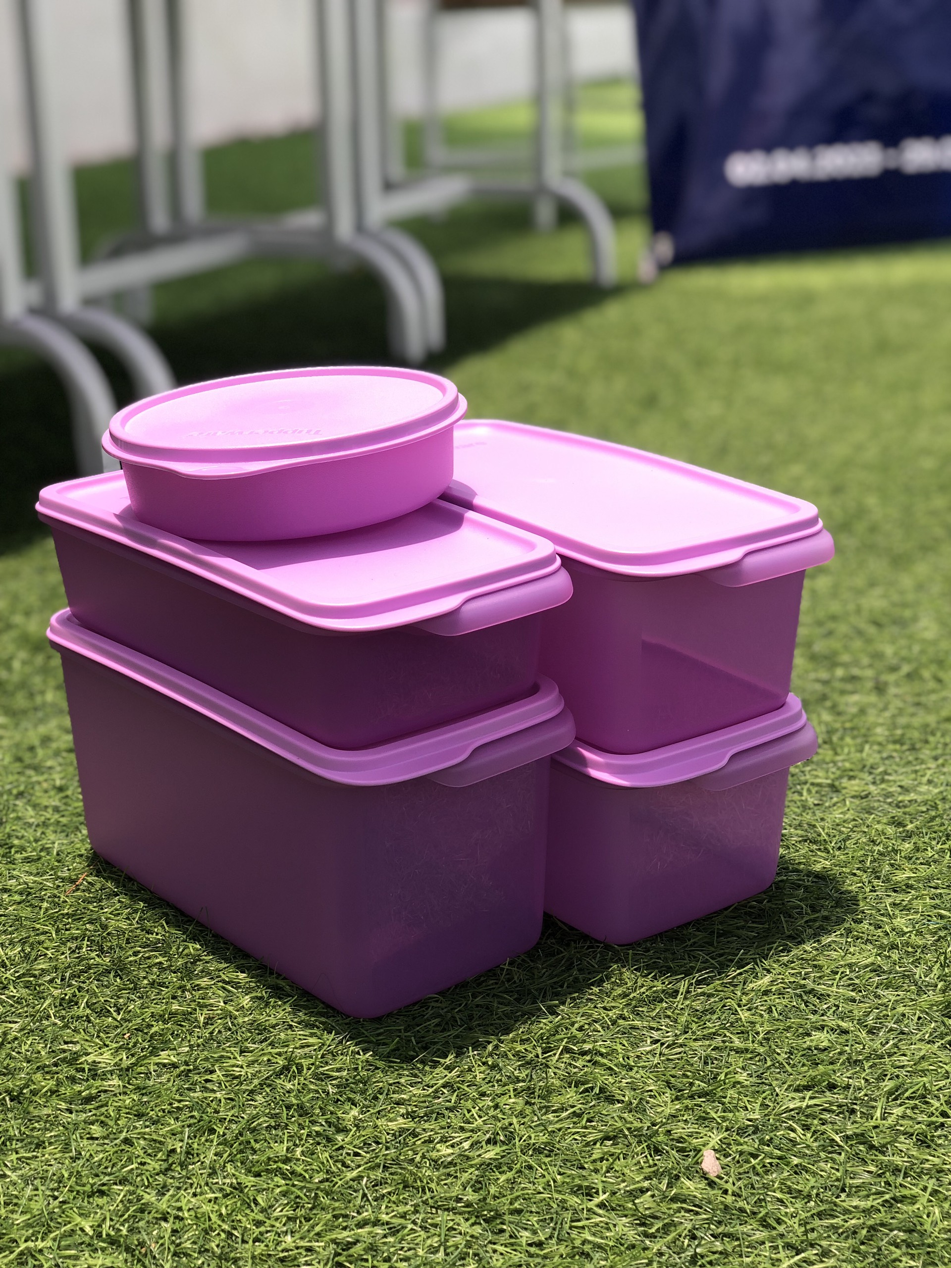 Bộ hộp trữ mát Tupperware Freshia tím (Set 5)