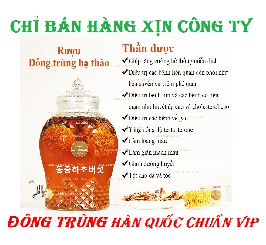 ĐẸP+CHUẨN TOP1]HŨ ĐÔNG TRÙNG HẠ THẢO NỘI SƠN-TĂNG CƯỚNG SỨC-KHỎE-SINH LÝ-ĐỀ KHÁNG-TIÊU HÓA-THANH LỌC CƠ THỂ-CHỐNG LÃO HÓA -GIẢM CHOLESTEROL DTK 1.5