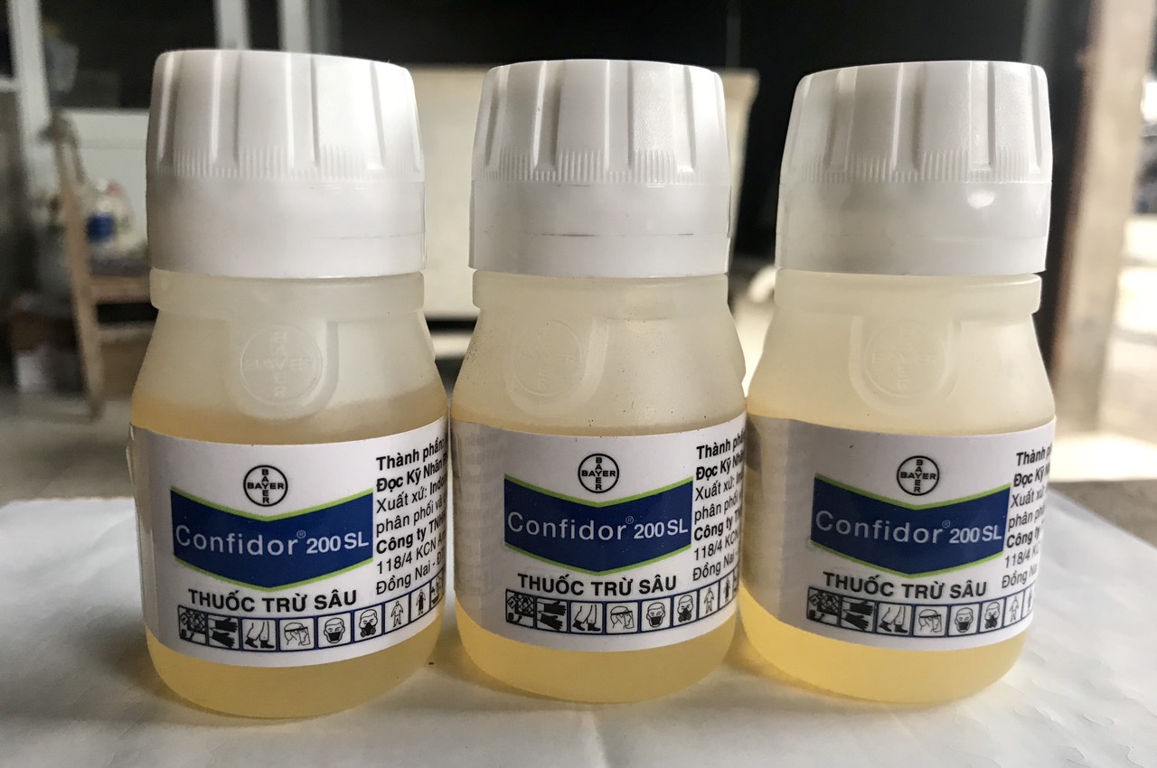 CONFIDOR 200SL đặc trừ bọ trĩ- rệp sáp - Chai 50ml
