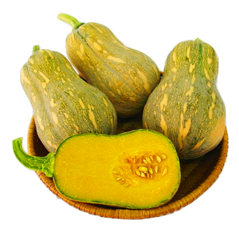 Bí Đỏ Hồ Lô - kg