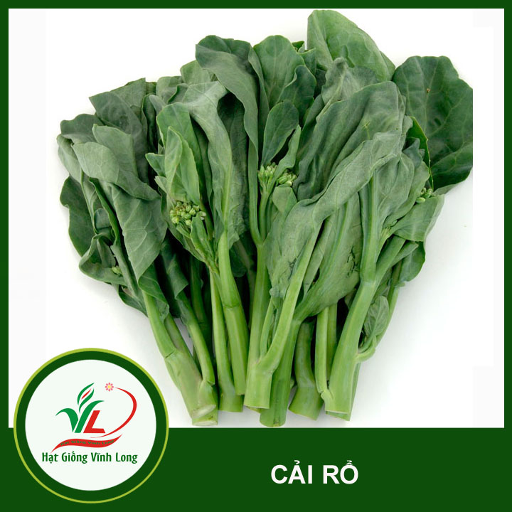 Hạt giống Cải Rổ RD 305 - 5g