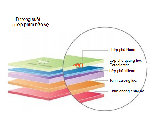 Kính cường lực Michael kors Grayson