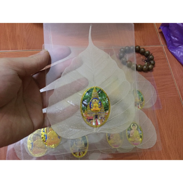 Lá bồ đề phật ấn độ - phong thủy lá bồ đề