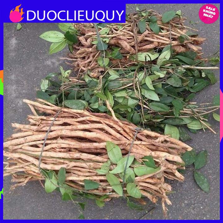 sâm xuyên đá tươi 1kg