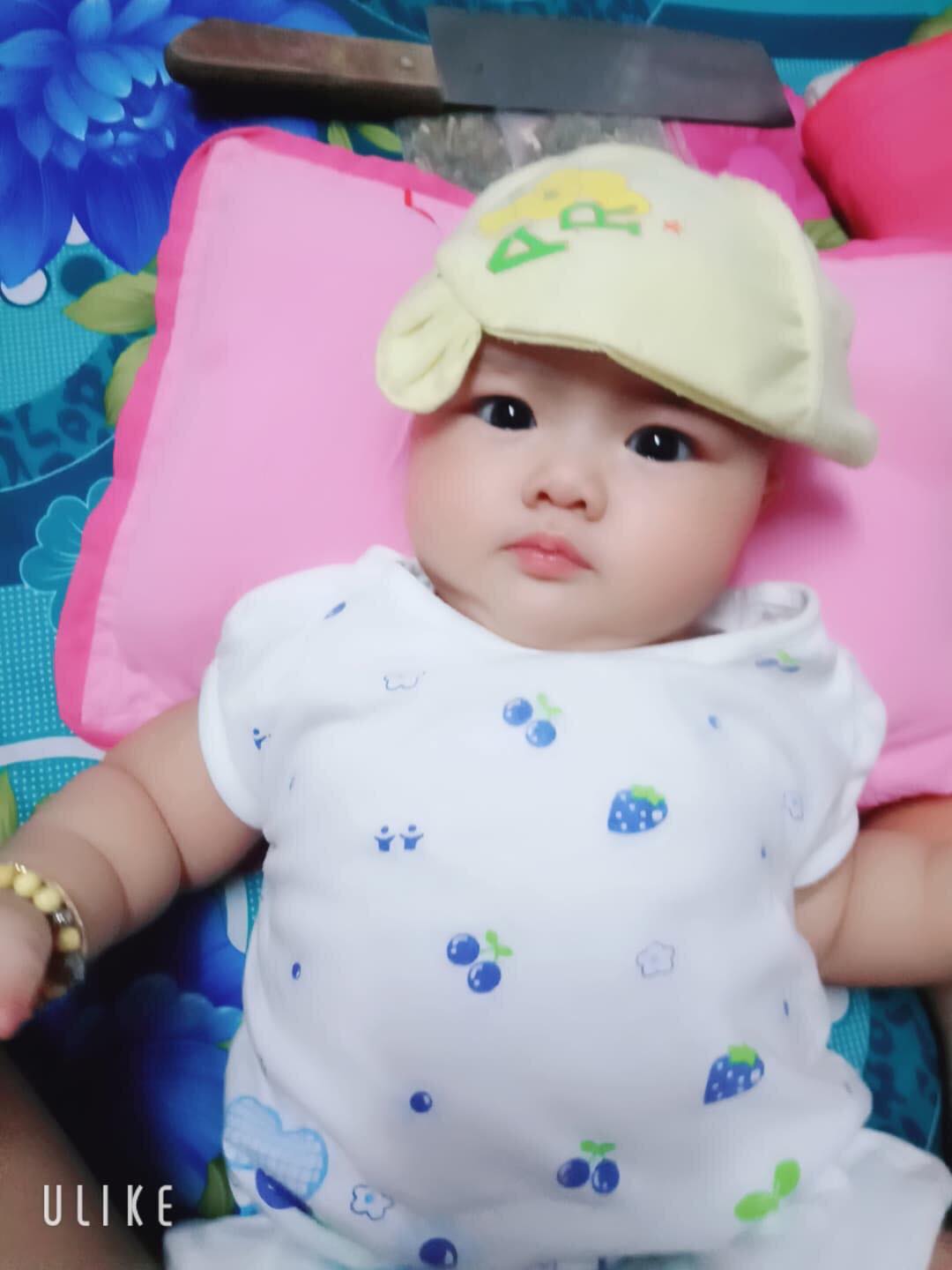 Combo 5 bộ dâu phòng cho bé gái 3-17kg