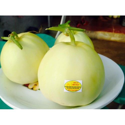 Super Sweet Melon Seeds - Pack of 20 Seeds