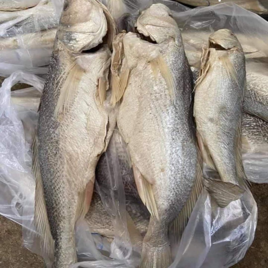 Mắm cá mặn, thịt Cá sửu ít xương,khô cá sửu, mắm cá ốp, không có xương vụn, thịt ngon, ngọt làm được nhiều món, khô ngon Thoại Sơn