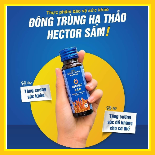 Nước đông trùng hạ thảo Hector sâm (Hộp 10 chai x 50ml)