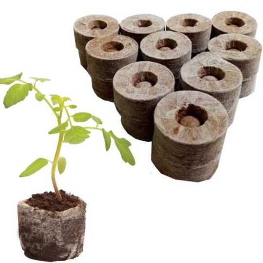 20 Viên nén xơ dừa ươm cây, Viên nén cám mụn dừa ươm hạt, Viên nén ươm cây non