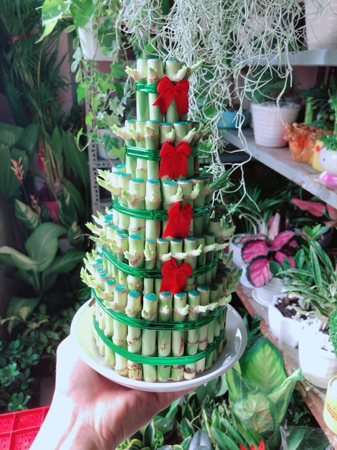 Phát Tài 5 Tầng