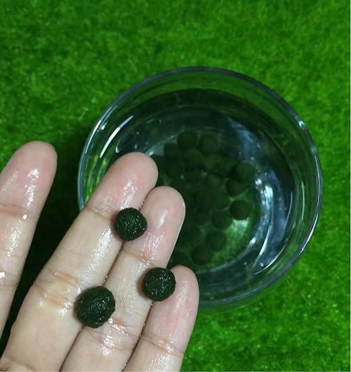 Combo hủ marimo