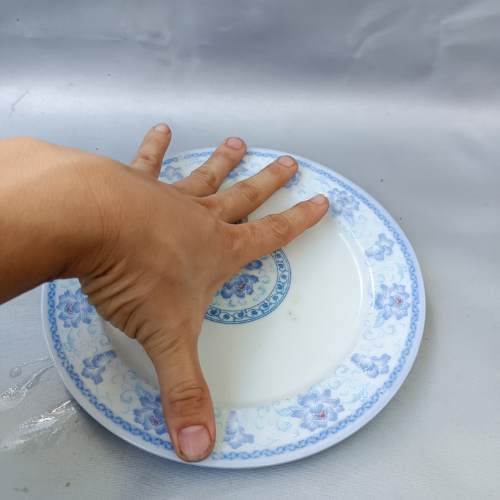 Đĩa sứ 16 cm Họa Tiết Xanh cao cấp