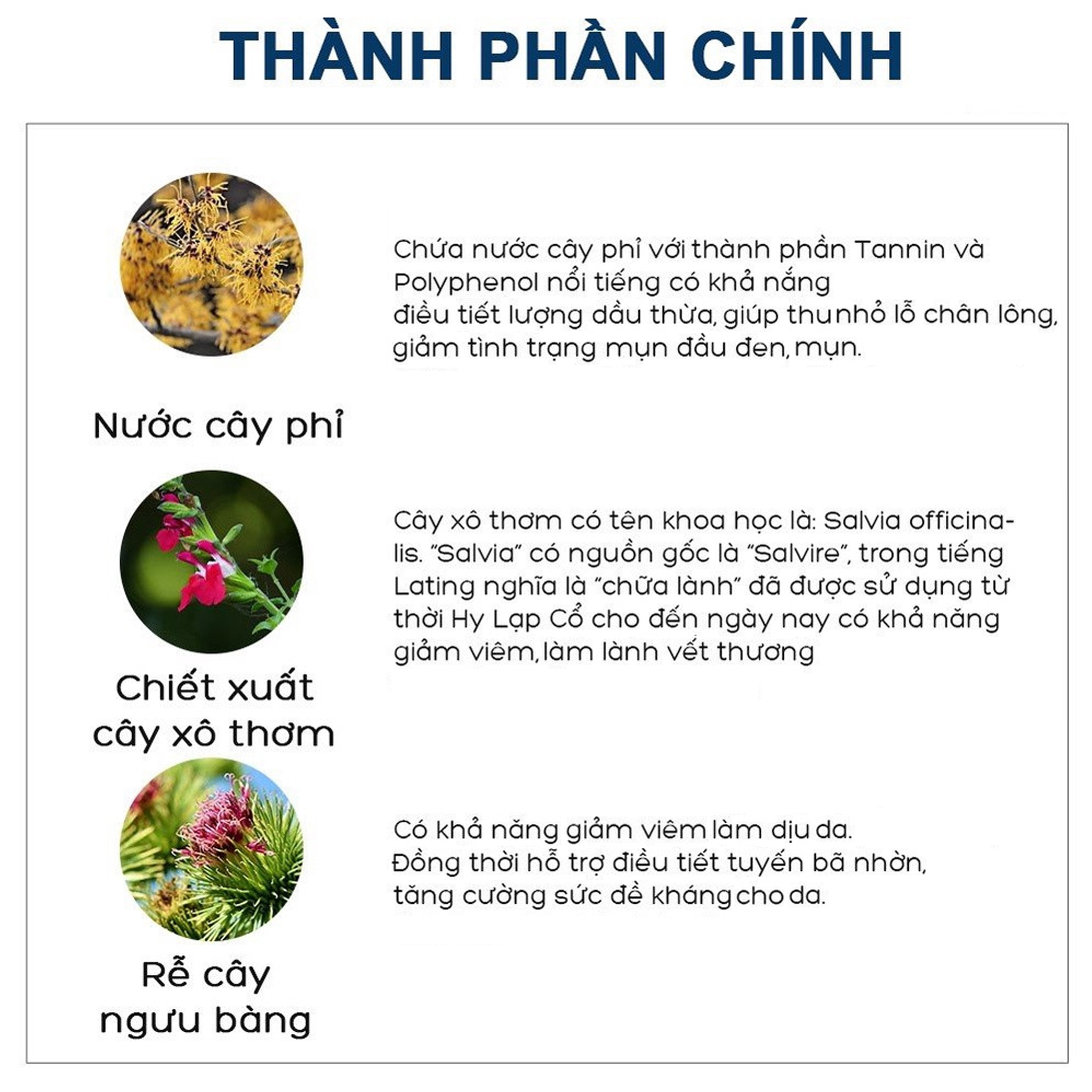 Miếng dán mụn đầu đen Ciracle GOODBYE BLACKHEAD 5ml NPP Tido88