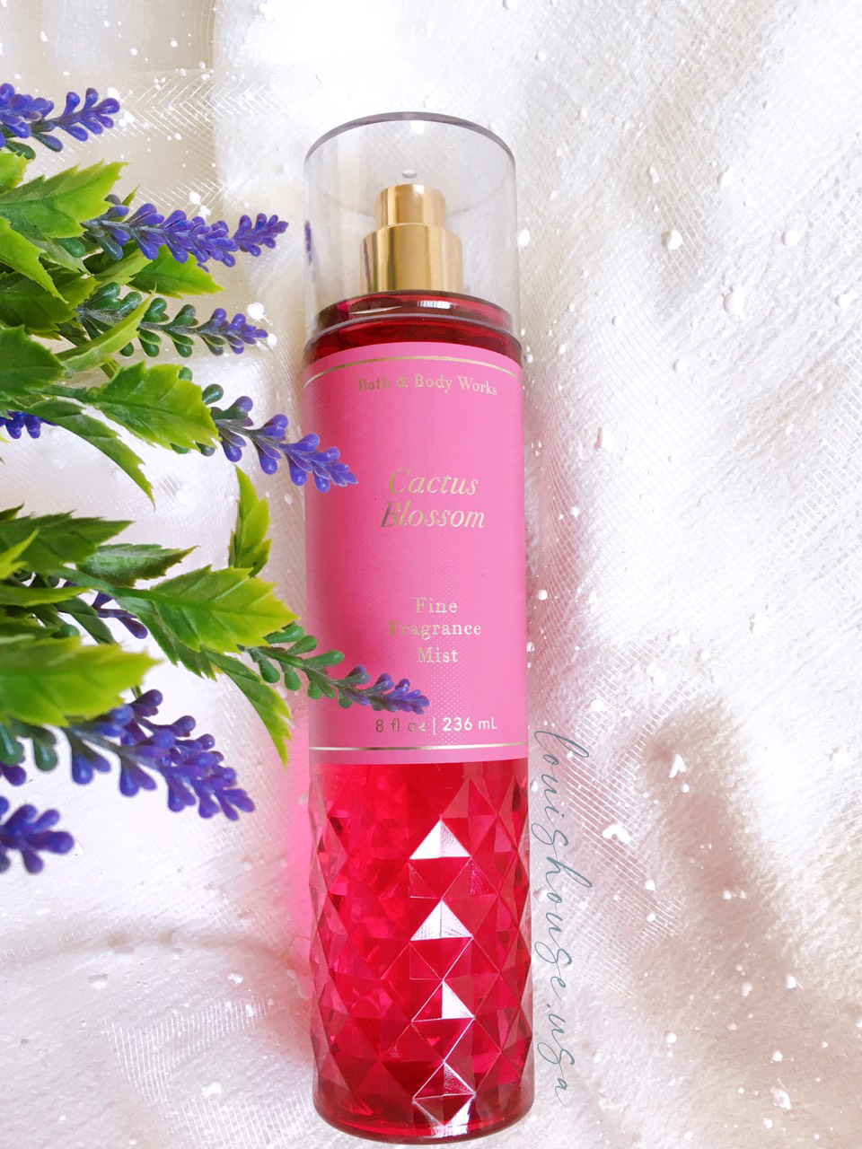 [ CACTUS BLOSSOM ] Trọn bộ chăm sóc cơ thể Bath & Body Works Mỹ