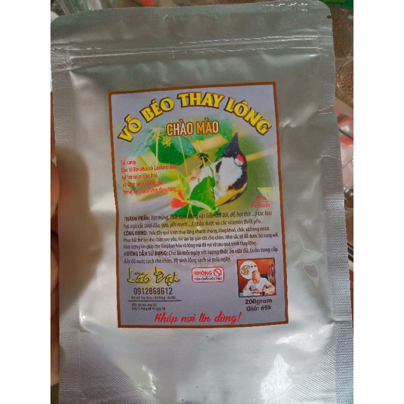 Cám chim lão Đại(chim chào mào)