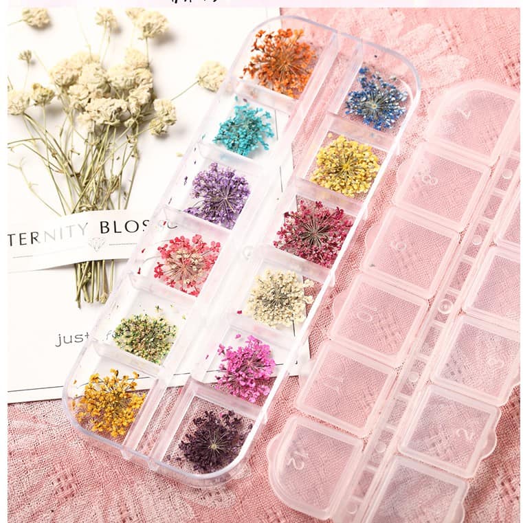 Hoa Khô Chùm Nhỏ Trang Trí Móng Set 12 Màu