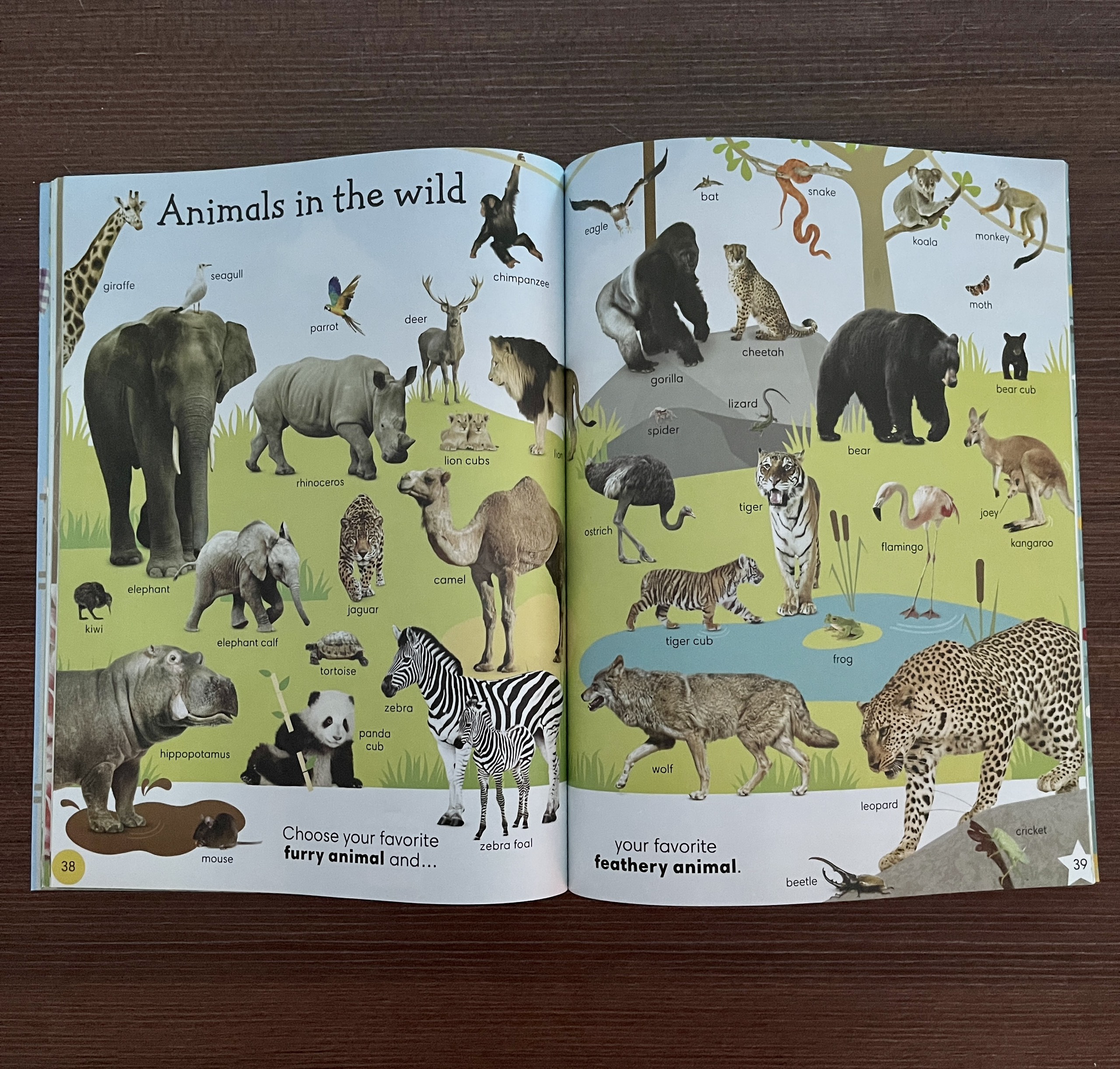Sách 1000 Useful Words Books (1000 từ tiếng anh thông dụng cho bé )