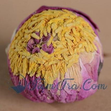 Trà Nở Hoa X10 VIÊN