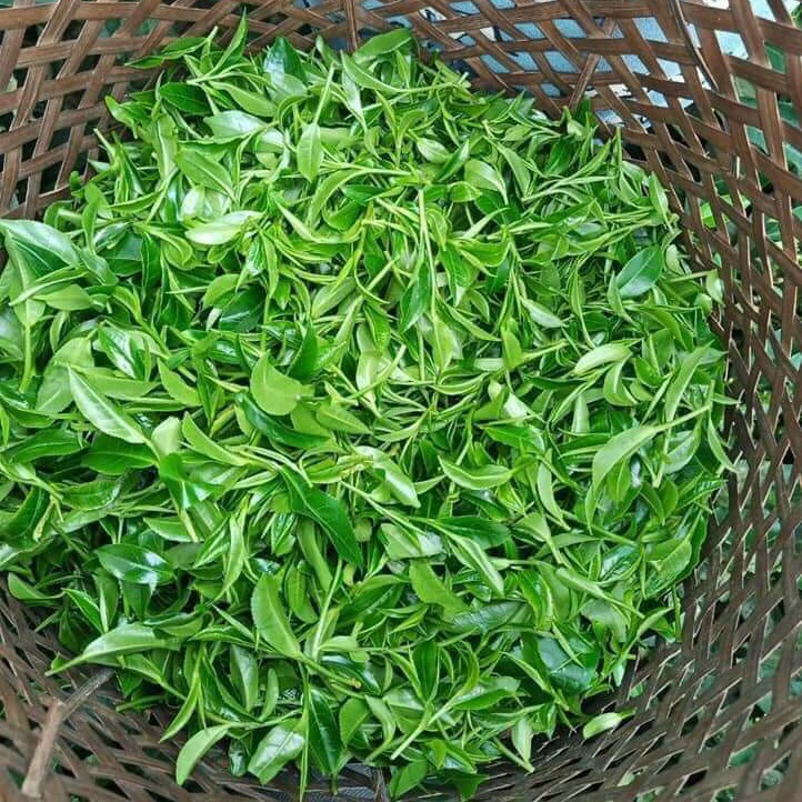 [TRÀ BẮC]1KG TRÀ THÁI NGUYÊN ĐẶC BIỆT