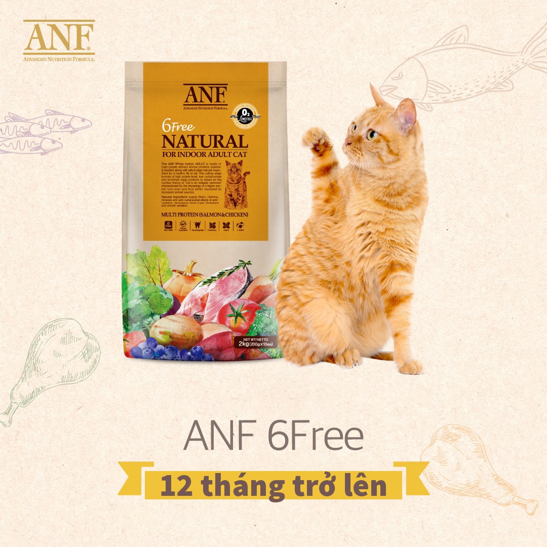 Thức ăn mèo ANF (Nguyên seal 1,6kg & 5,6kg) nhập khẩu chính hãng