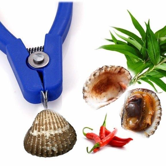 Dụng cụ tách sò huyết Dragon
