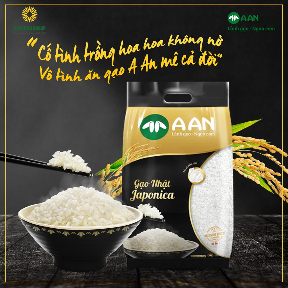 Gạo Giống Nhật Japonica A An