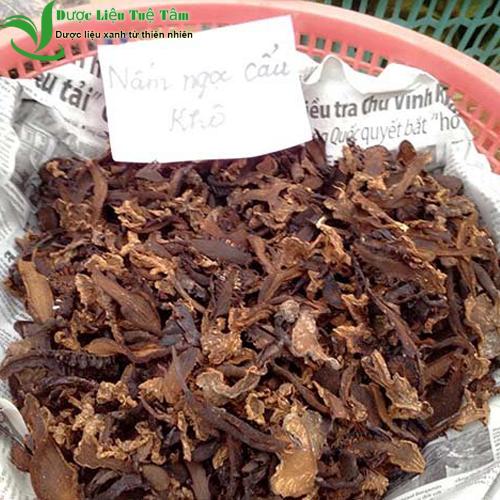 [HCM]Nấm ngọc cẩu - 100% chất lượng núi rừng yên bái (gói 500g)