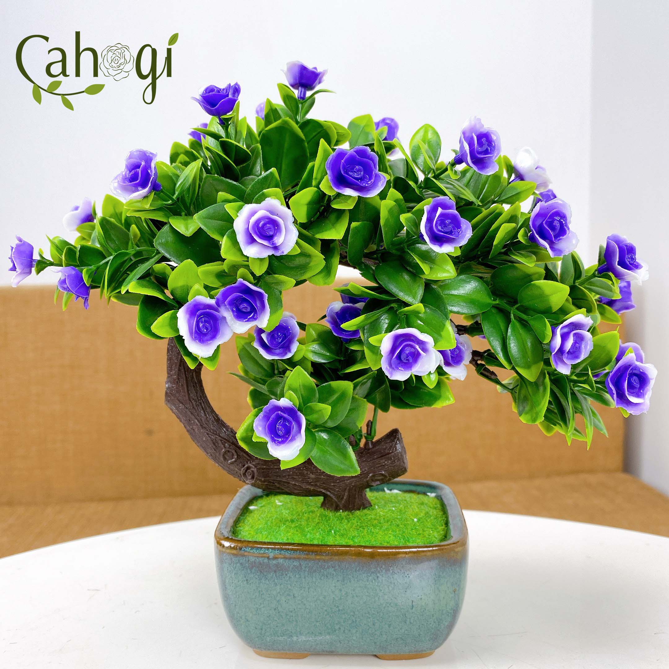 Chậu Cây Giả Để Bàn Chậu Hoa Bonsai