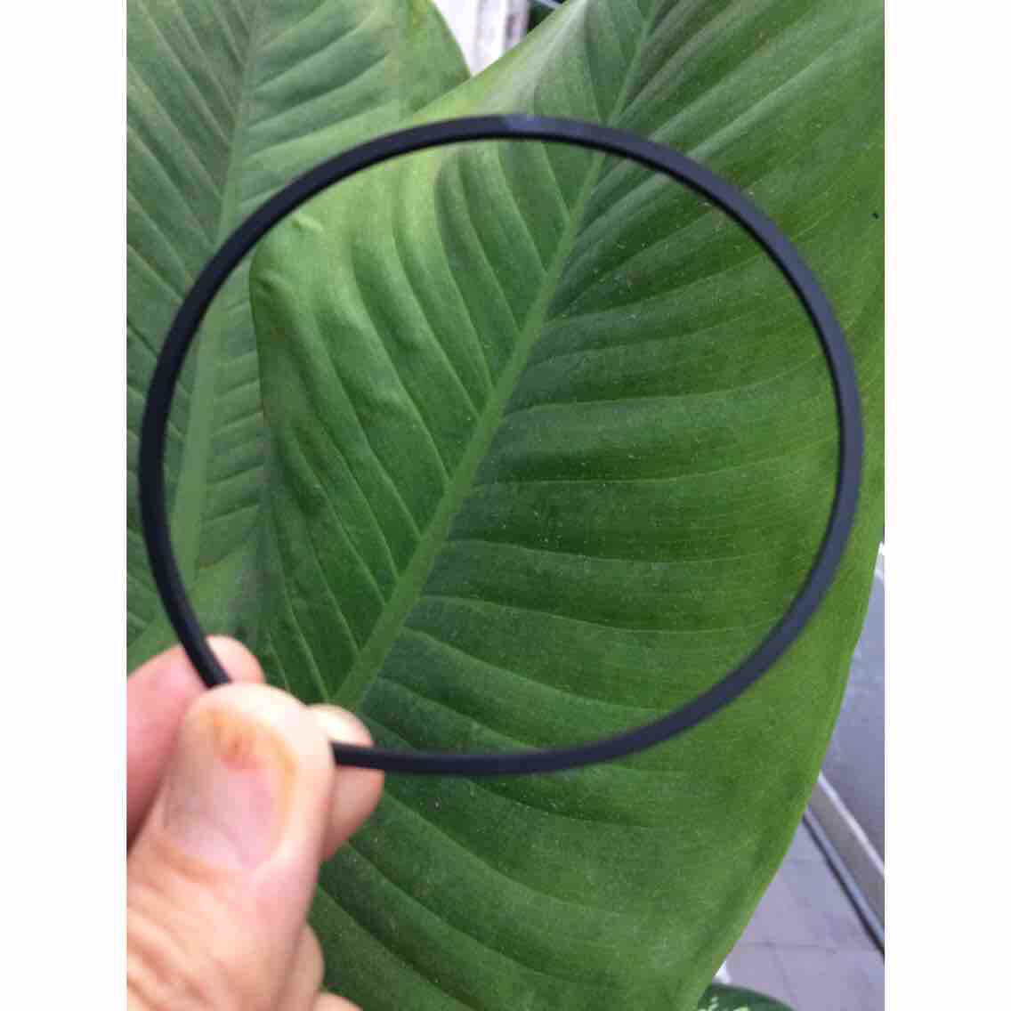 [HCM]dây curoa nôi điện Long hưng Đại vĩ (dây vuông)
