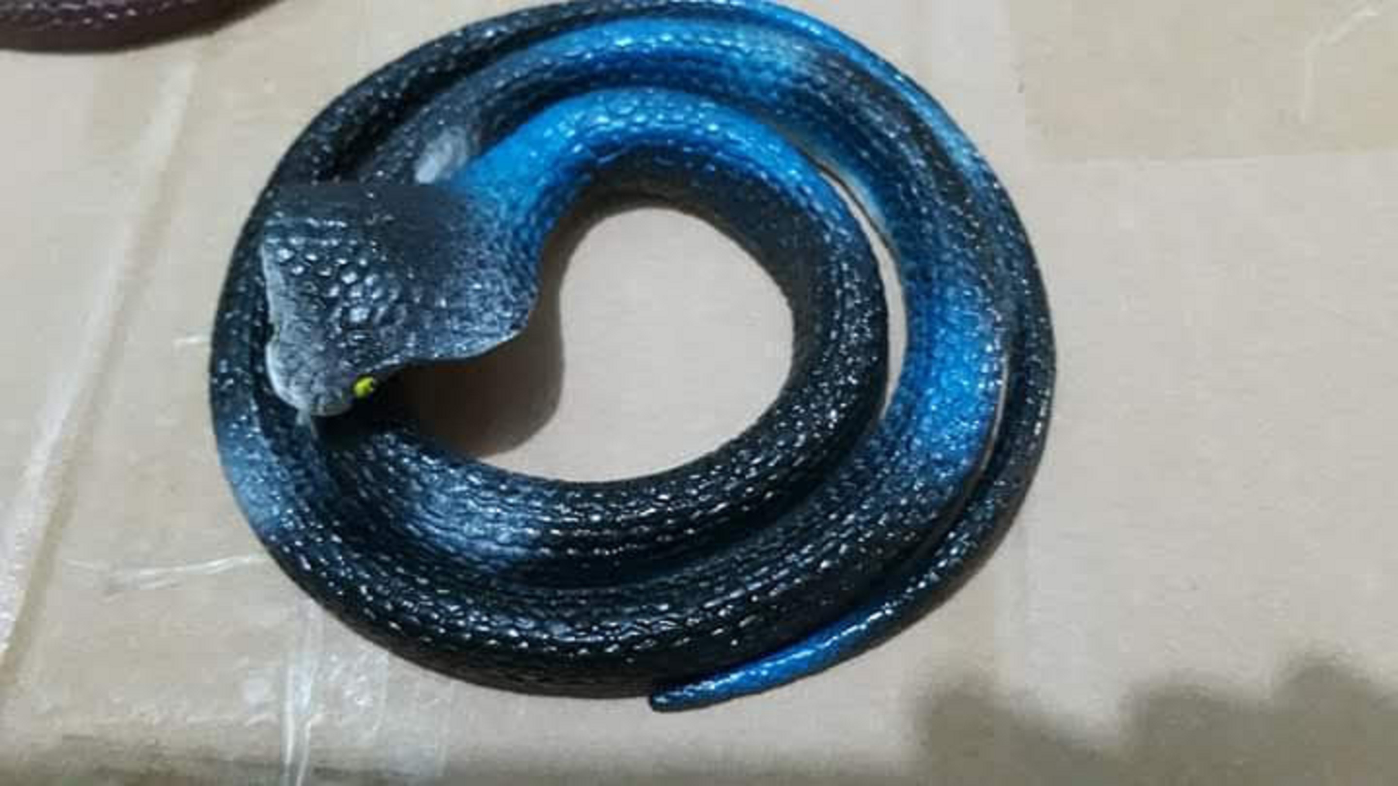 Đồ chơi rắn cao su