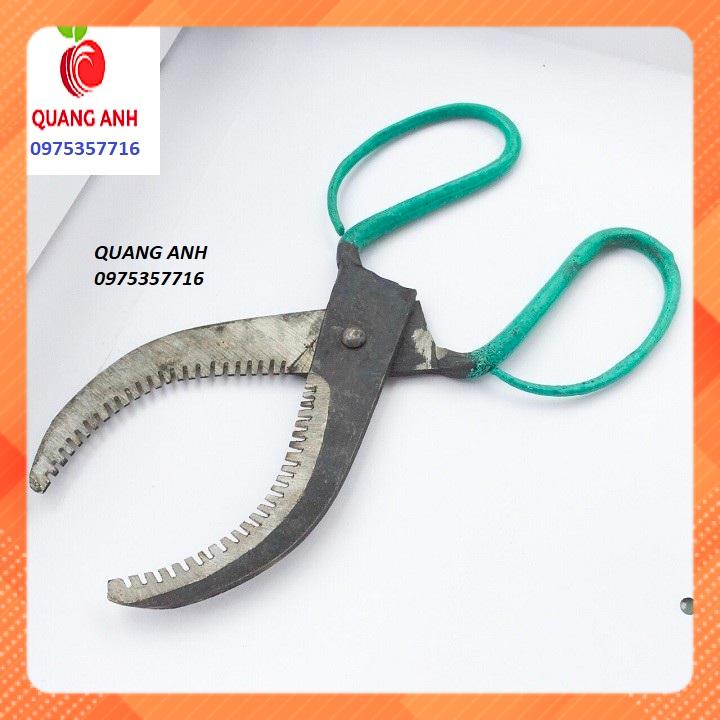 KÉO KHOANH CÀNH CÂY ĂN QUẢ - CÓ RĂNG CƯA