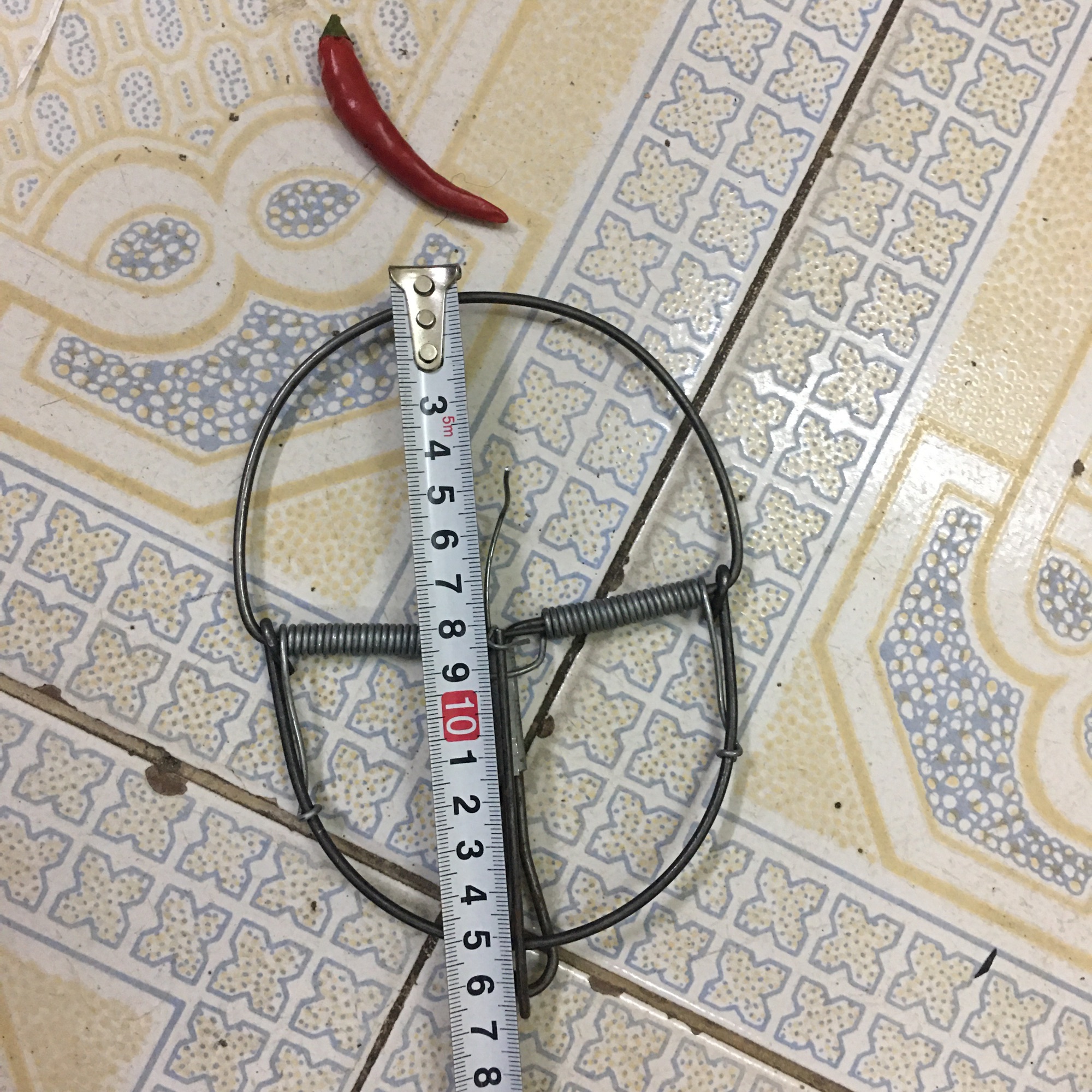 10 BẪY CUNG DIỆT CHUỘT HIỆU QUẢ 3 cỡ