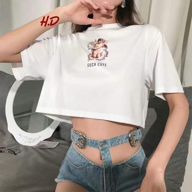 Áo croptop Such Cute ngắn tay HDA0619