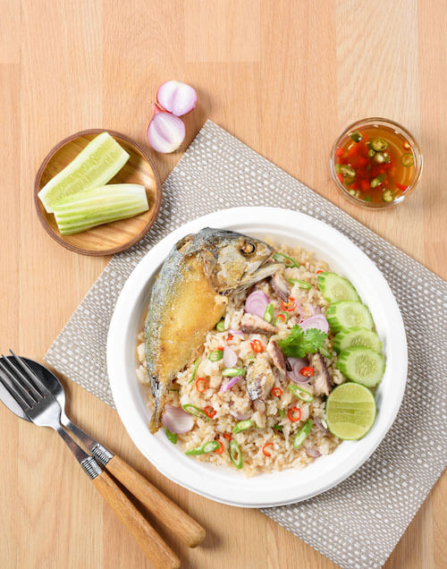 Combo Đĩa giấy bột gỗ dùng 1 lần Fest bio 9 inches [ 𝙃𝙖̀𝙣𝙜 𝘾𝙝𝙞́𝙣𝙝 𝙃𝙖̃𝙣𝙜 ]