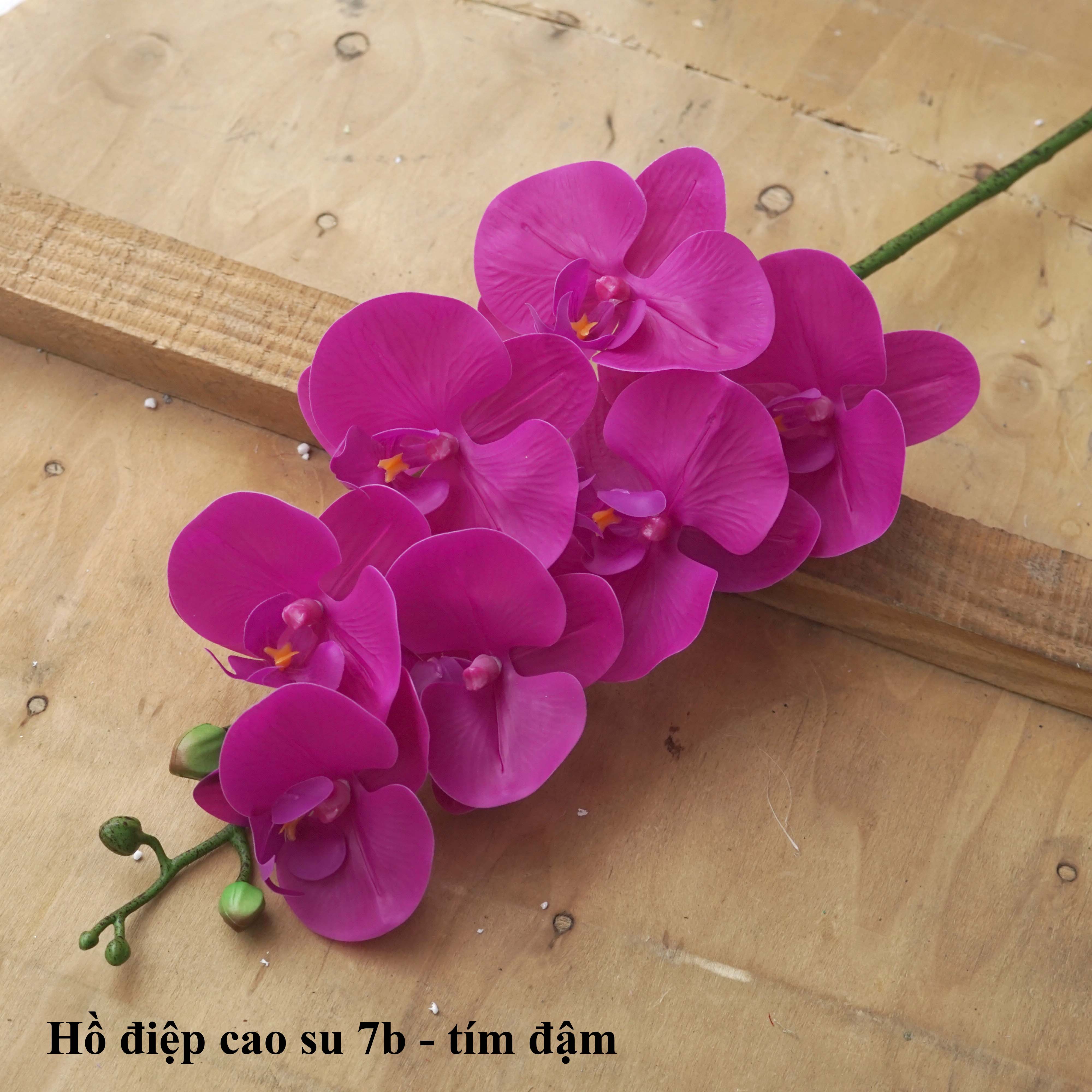 Hoa giả, hoa lan hồ điệp cao su 7 bông