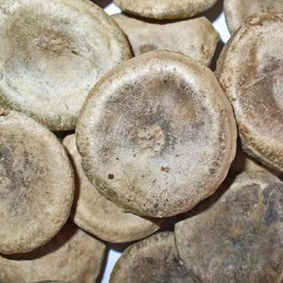 100g hạt mã tiền thảo