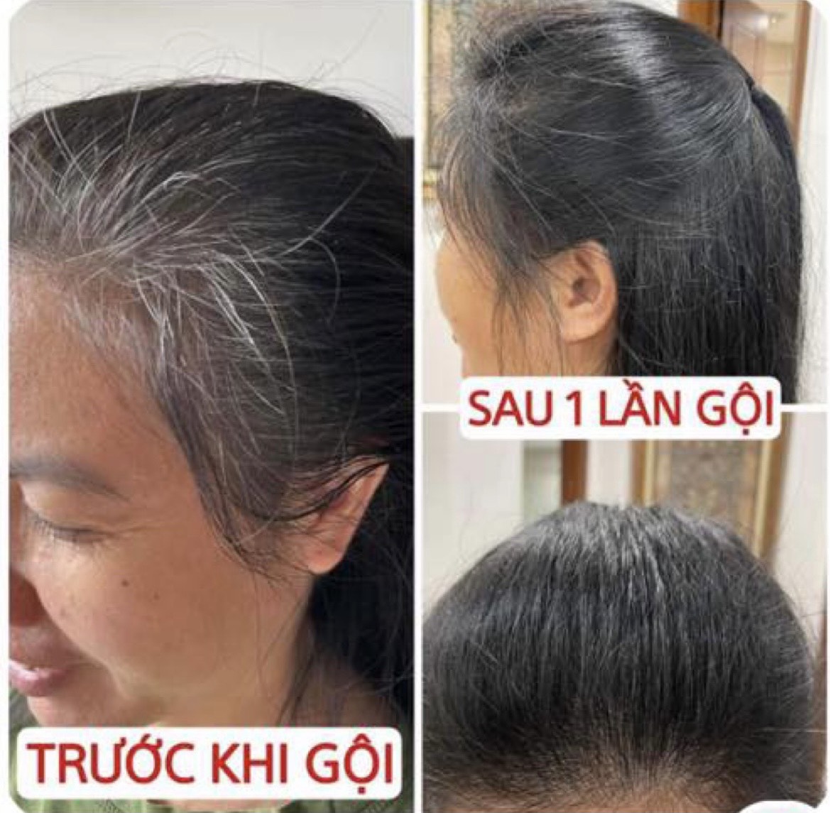 Dầu gội nhuộm tóc thảo mộc saffron