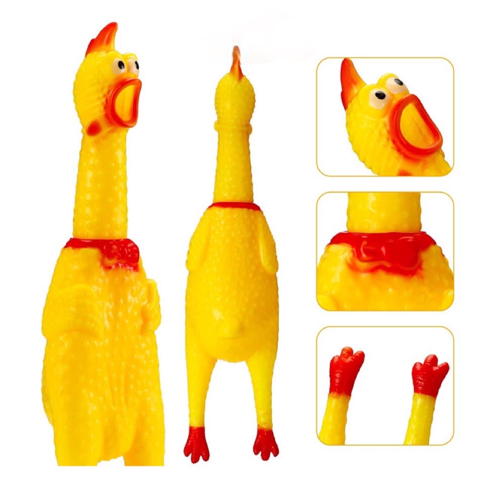Gà la hét đồ chơi cho chó, mèo, thú cưng.