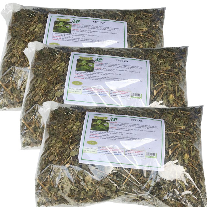 1kg cây c.ứt lợn khô ch.ữa v.iêm xoang GT202