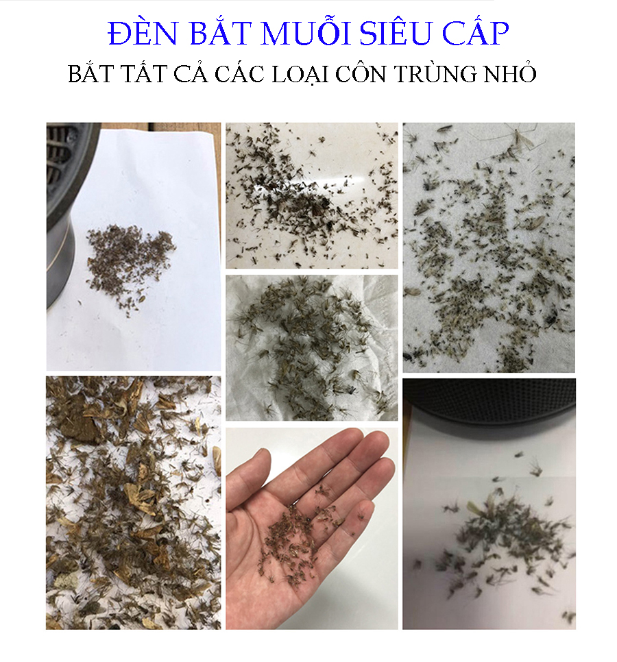 Đèn bắt muỗi, máy bắt muỗi MOSQUITO KILER DGS-168