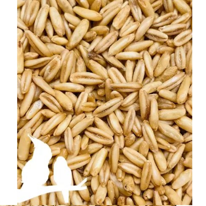 500G YẾN MẠCH HỮU CƠ (ĐÃ TÁCH VỎ)