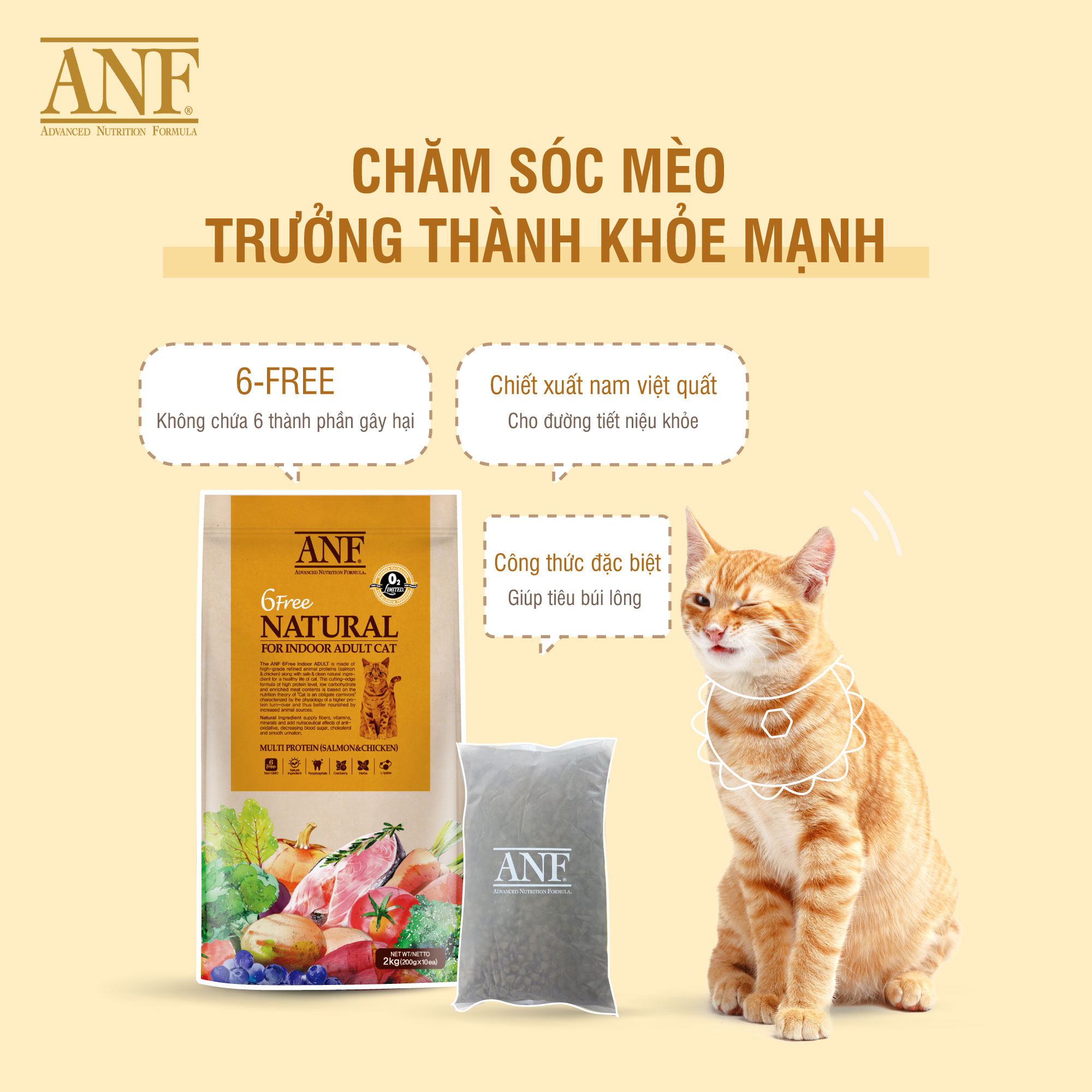 Thức ăn mèo ANF (Nguyên seal 1,6kg & 5,6kg) nhập khẩu chính hãng