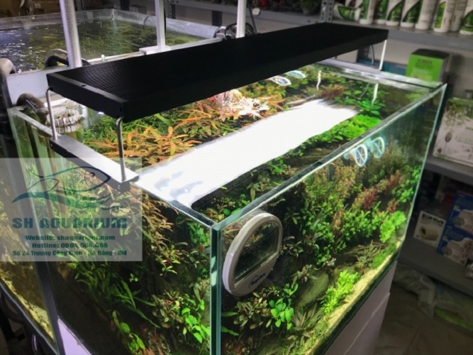 [HOÀN TIỀN 10%]ĐÈN CHIHIROS WRGB2 60CM