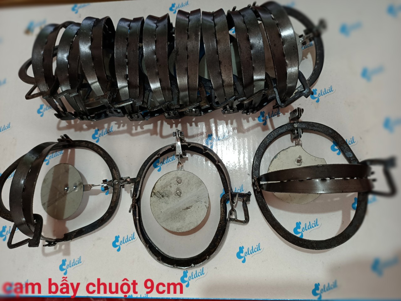 combo 20 cạm bẫy chuột 9cm
