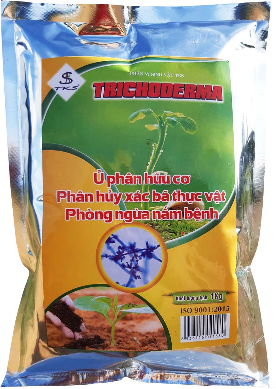 [1 Kg] NẤM TRICHODERMA 5 Chủng Nấm: Ủ Phân Hữu Cơ, Cải Tạo Đất, Phòng Nấm Bệnh Hiệu Quả