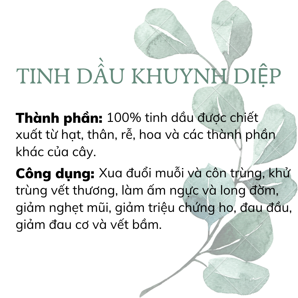 Tinh Dầu Khuynh Diệp Goldzherbs