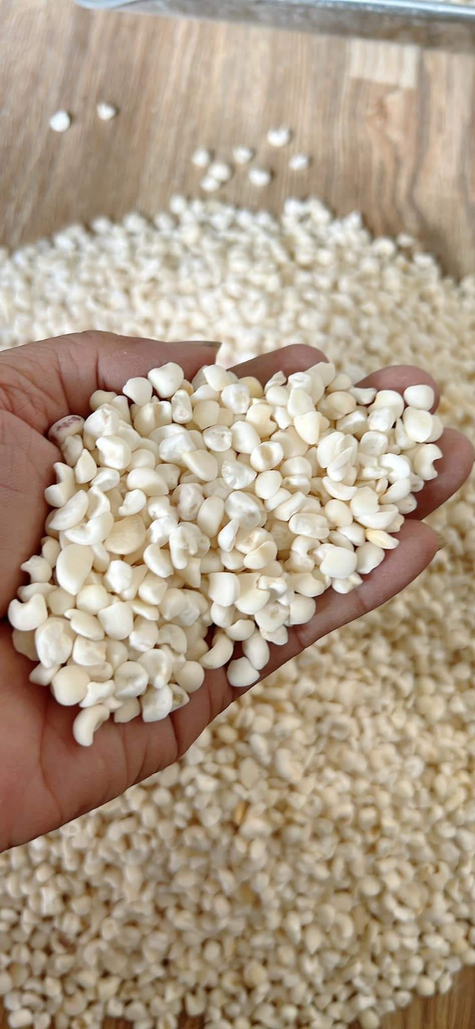 10kg Bắp / ngô nếp (dùng để nấu xôi bắp nhão)