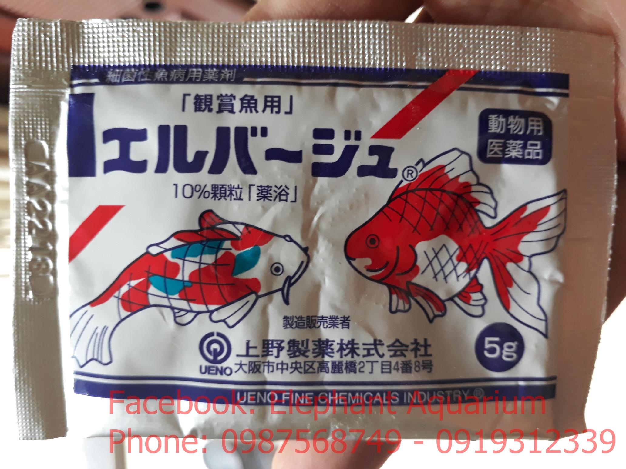 Tetra Nhật cho cá cảnh (gói 5g)