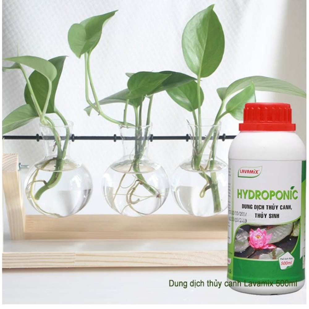 Dung Dịch Thủy Canh HYDROPONIC 100ml