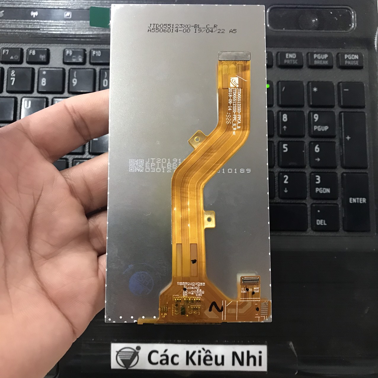 Itel	P33 | W5504	Màn hình	LCD rời